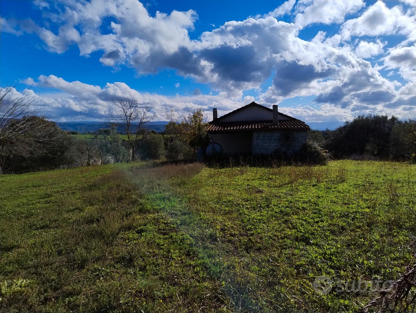 Uliveto più casolare di circa 50 metri più Verande - Vista 4