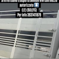 Si effettuano trasporto animali vivi