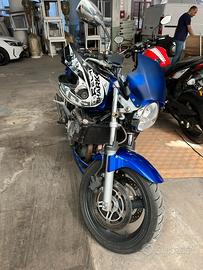 Honda Hornet