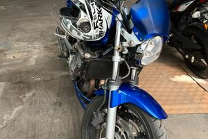 Honda Hornet