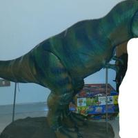 Dinosauro da Collezione - 500 Pezzi