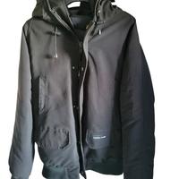 Canada goose chillywack donna 