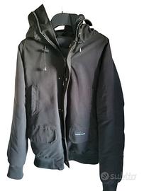 Canada goose chillywack donna 