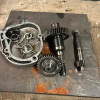 Ingranaggi  primari malossi