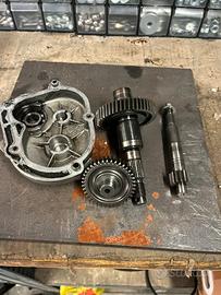 Ingranaggi  primari malossi