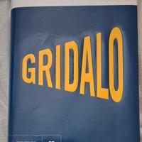 Libro "Gridalo" Roberto Saviano