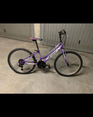 Bici mountain bike