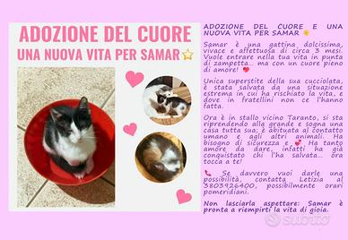 Una nuova vita per Samar-adozione del cuore