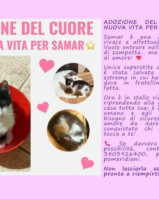 Una nuova vita per Samar-adozione del cuore