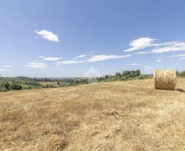 TER. AGRICOLO A CASTELNUOVO DI PORTO