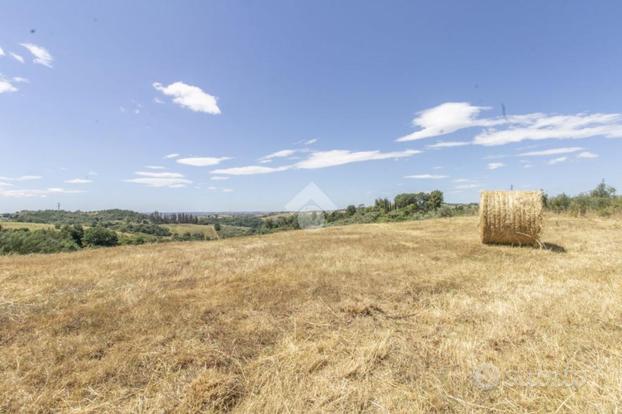 TER. AGRICOLO A CASTELNUOVO DI PORTO