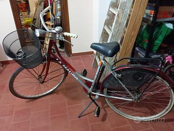 Bicicletta da donna