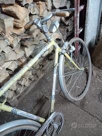 bicicletta