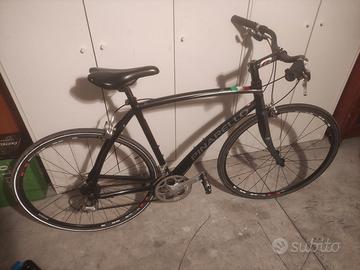Pinarello
