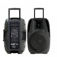 Cassa portatile 150W con microfoni