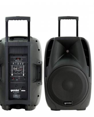 Cassa portatile 150W con microfoni