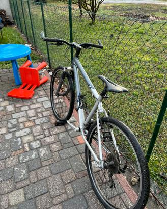 bicicletta giant