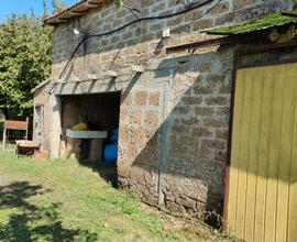 Terreno, Casaletto, Noccioleto, Vigneto