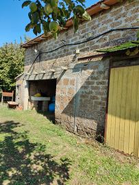 Terreno, Casaletto, Noccioleto, Vigneto