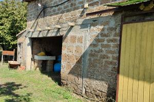 Terreno, Casaletto, Noccioleto, Vigneto