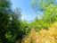 Immagine 11