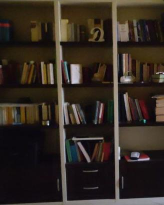 Libreria wenge/bianca