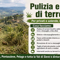 Pulizia terreni, sfalci, rovi - Val di Sieve