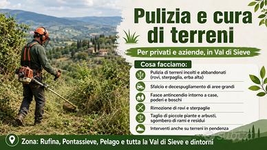 Pulizia terreni, sfalci, rovi - Val di Sieve