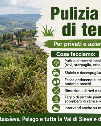Pulizia terreni, sfalci, rovi - Val di Sieve