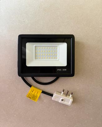 Faretto LED freddo 30W 6500K da esterno IP65