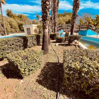 Lavori giardinaggio