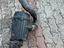 Immagine 2