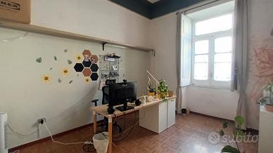 Ampio e Luminoso Ufficio/Studio a 2 passi dal Mare