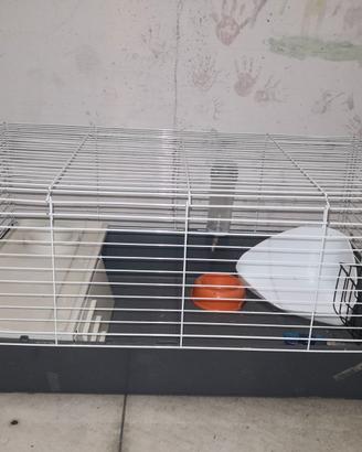 Gabbia per animali
