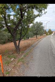 terreno