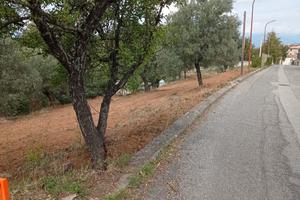 terreno