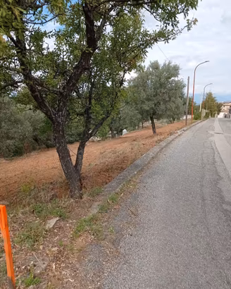 terreno