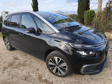 C4 Picasso 7 posti