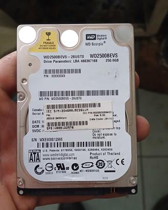 Ard disck pc portatile Wd Western digital
-250gb