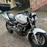 Honda hornet 600