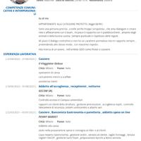 Cassiere , call center inbound