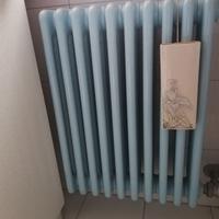 Termosifone usato IRSAP