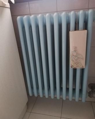 Termosifone usato IRSAP