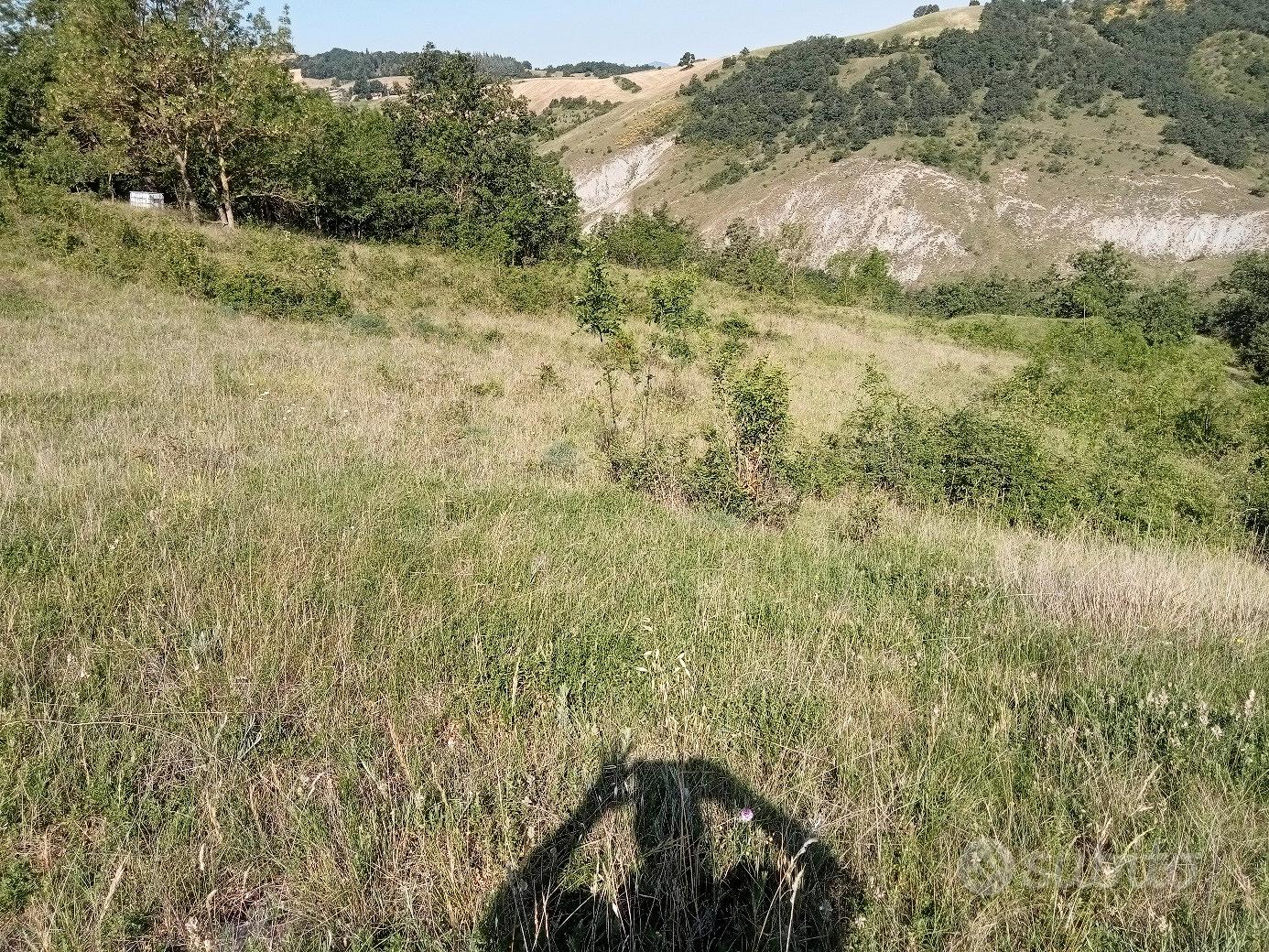 Rustico con terreno - Vista 3