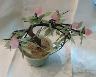 Bonsai in vetro di giada