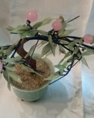 Bonsai in vetro di giada