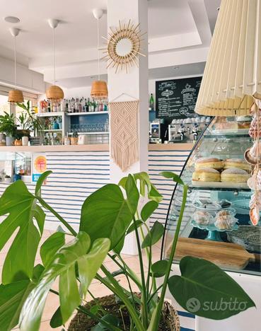 Attività di bar tavola fredda al mare