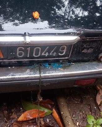 Jaguar  1981 iscritta ASI