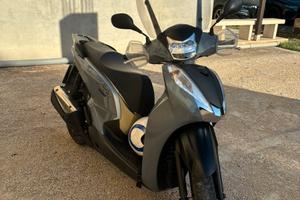 Sh 300 air force 2018