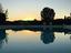 Immagine 17
